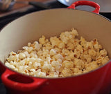 Enameled Cast Iron 5.5 Quart Dutch Oven, in Red